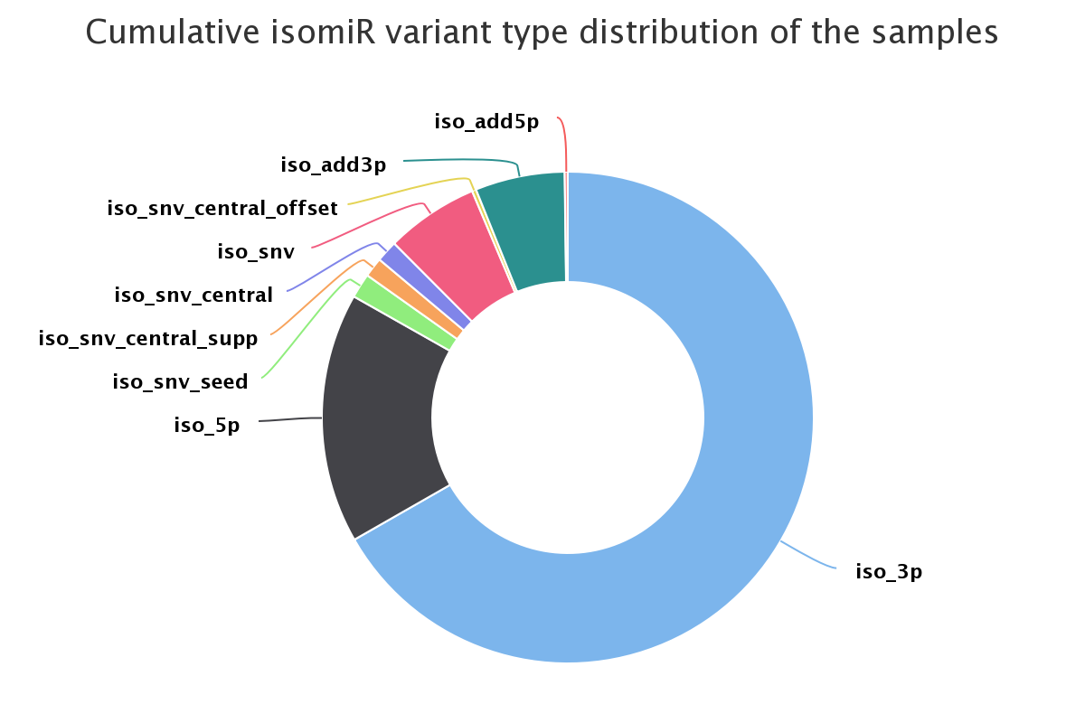 _images/isomiR_variants.png